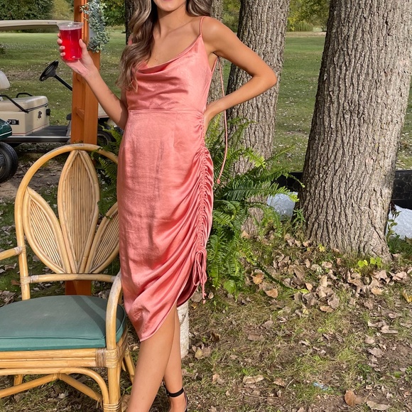 Showpo Dress - Picture 5 of 5